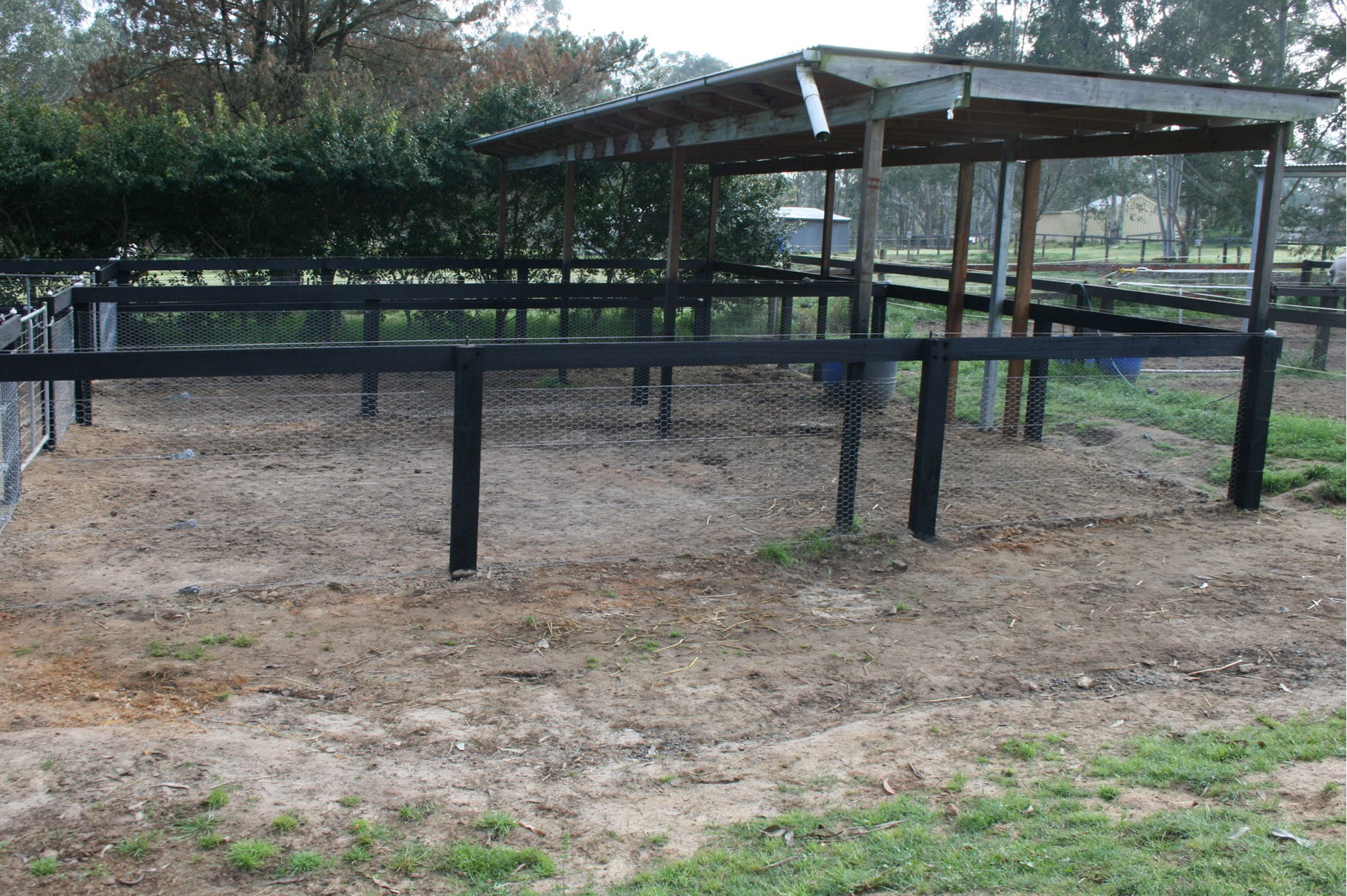horse day yard shelter