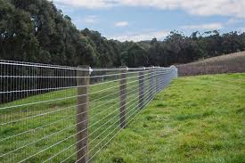 horse safe fencing