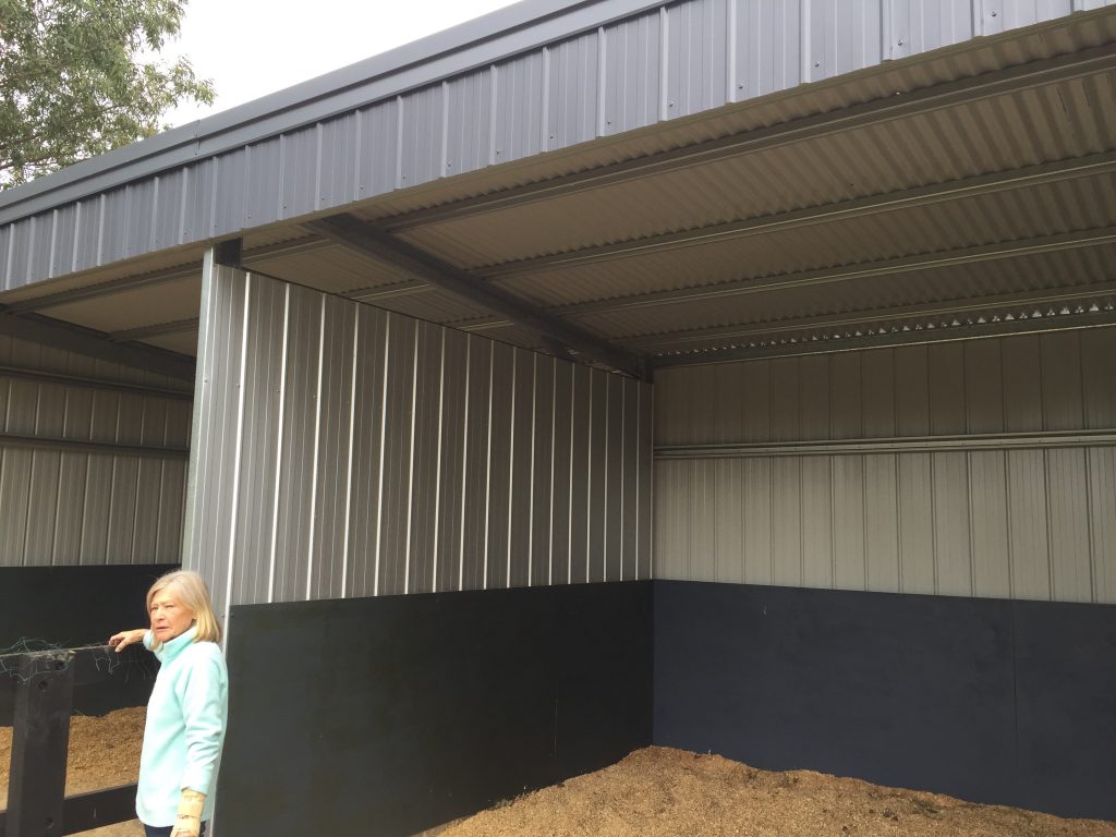 double horse walk in paddock shelters